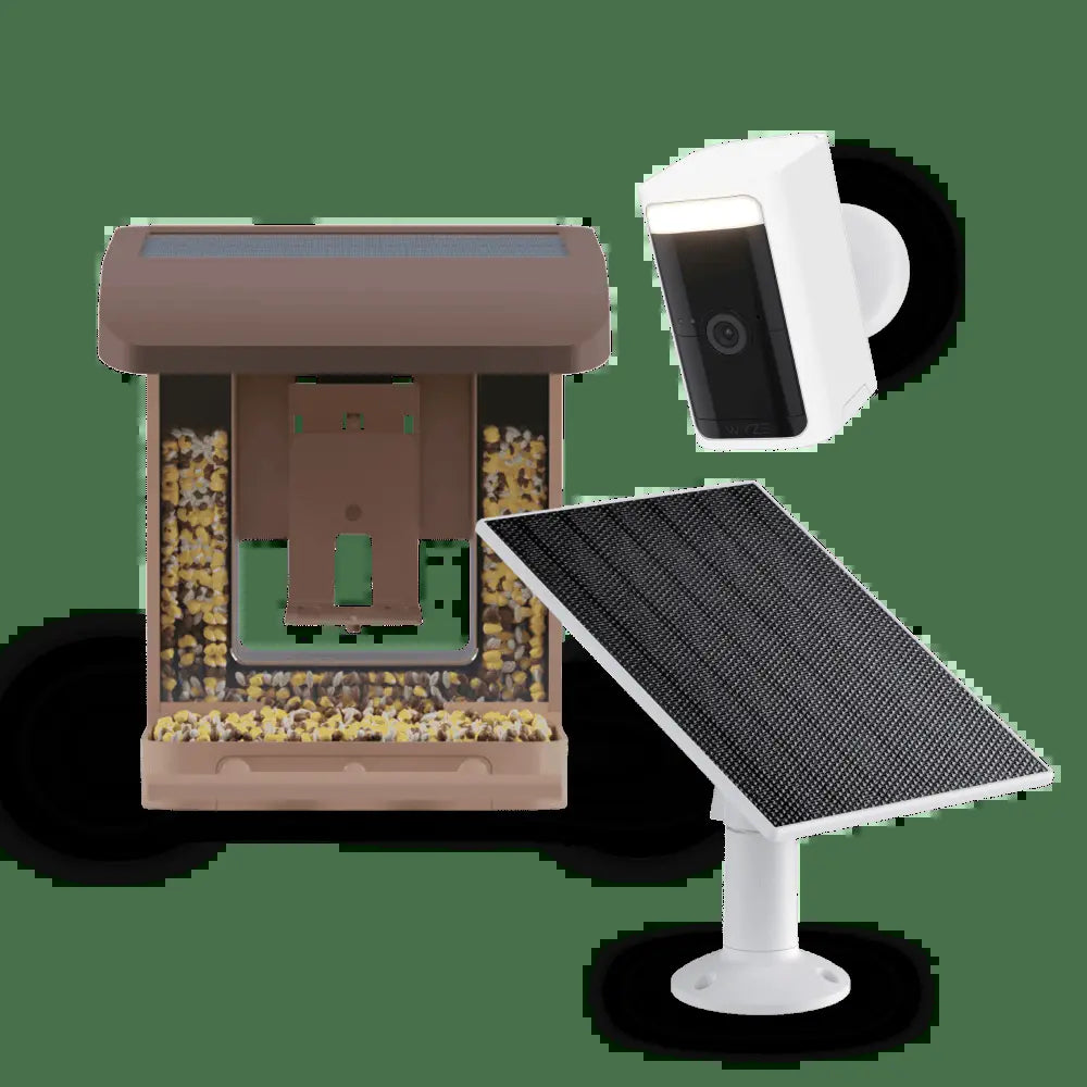 Wyze Bird Feeder with HD Camera: Live Video Monitoring and Recording of Avian Visitors
