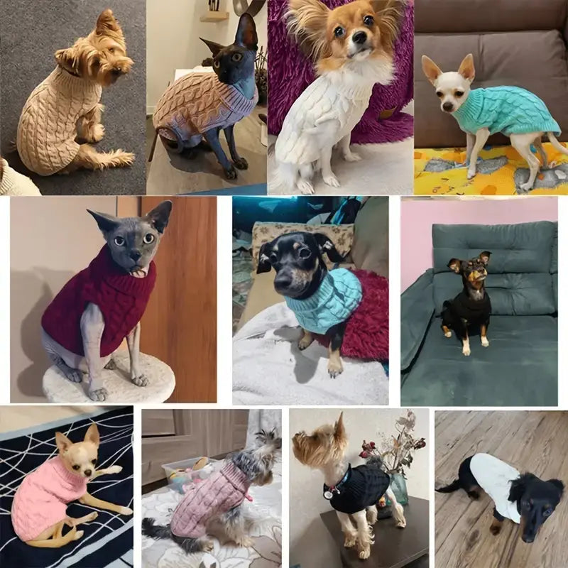 5-Piece Cozy Knitted Sweater Set for Small Pets with 4 Socks - Soft Pullover for Cats and Dogs, Ideal for Winter and Autumn, Available in 5 Colors, Machine Washable