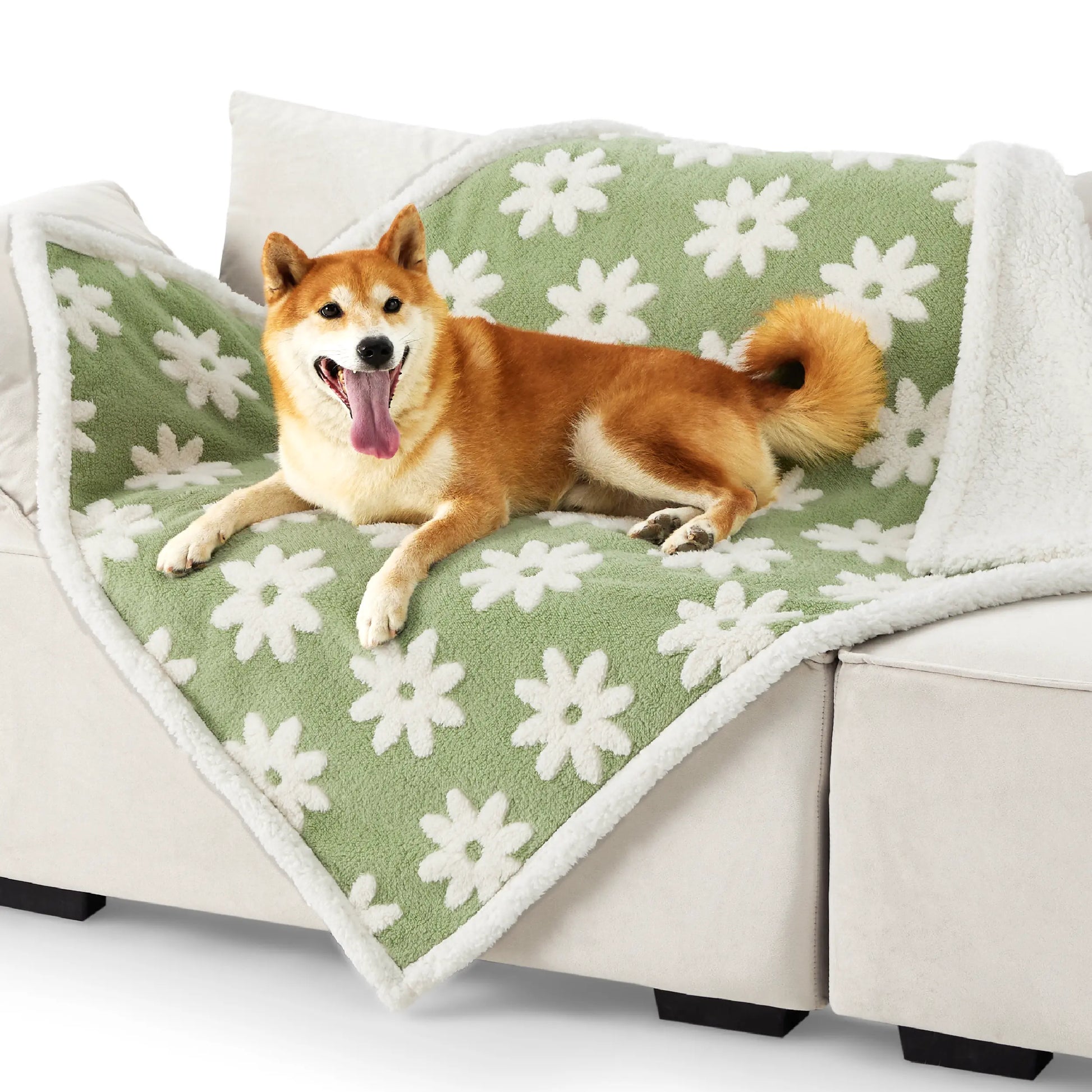 Lesure Waterproof Pet Blanket for Dogs and Cats - Reversible Jacquard Shag and Sherpa Fleece, 3D Textured Cloud Design, Machine Washable, Durable, Portable, and Soft Couch Protector