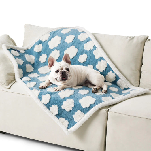 Lesure Waterproof Pet Blanket for Dogs and Cats - Reversible Jacquard Shag and Sherpa Fleece, 3D Textured Cloud Design, Machine Washable, Durable, Portable, and Soft Couch Protector