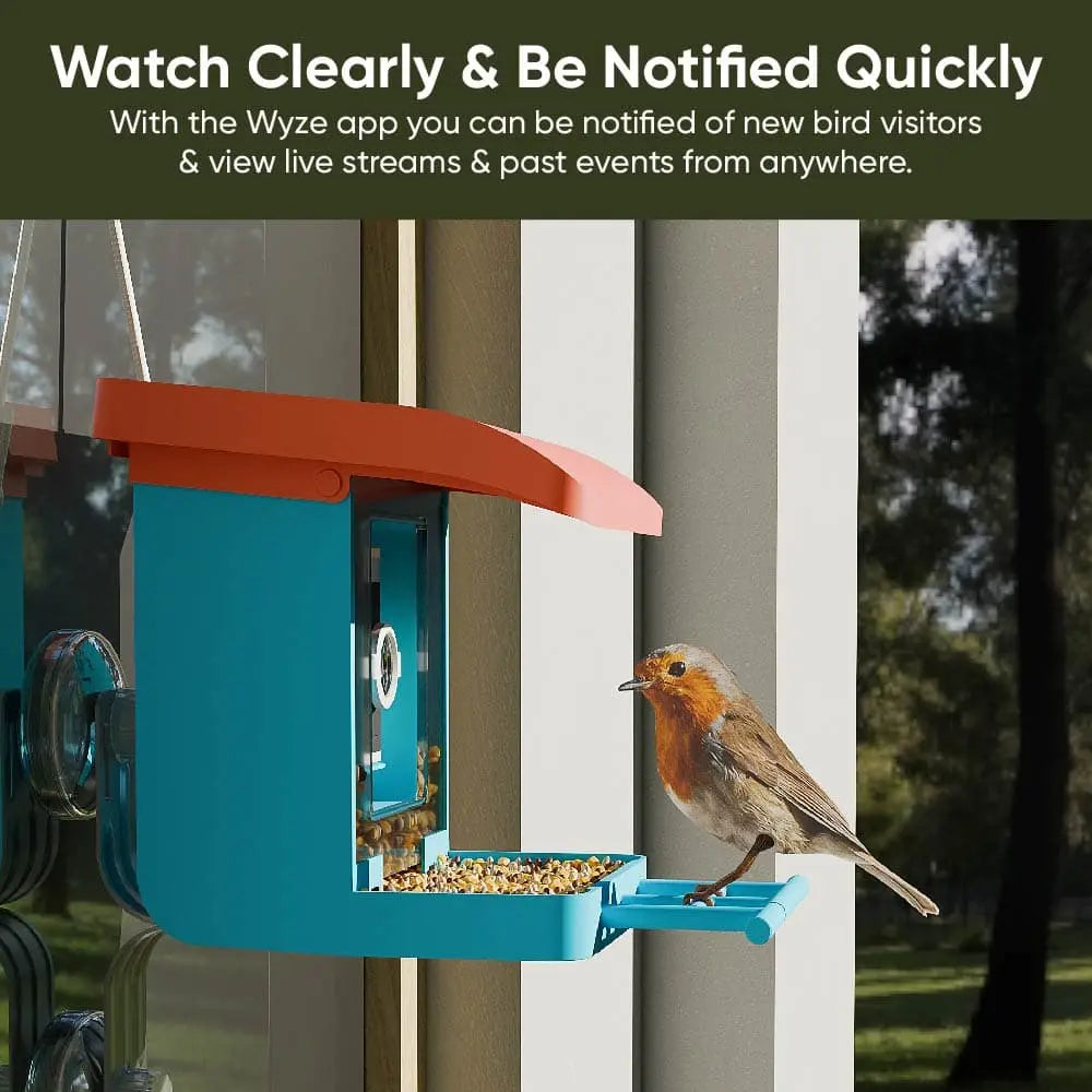 Wyze Bird Feeder with HD Camera: Live Video Monitoring and Recording of Avian Visitors