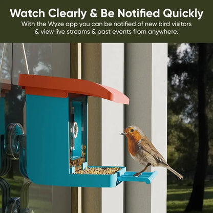 Wyze Bird Feeder with HD Camera: Live Video Monitoring and Recording of Avian Visitors