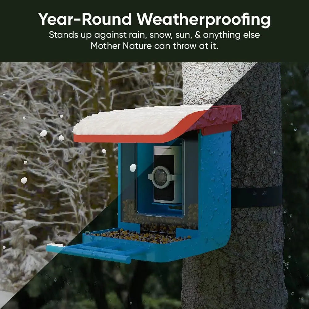 Wyze Bird Feeder with HD Camera: Live Video Monitoring and Recording of Avian Visitors