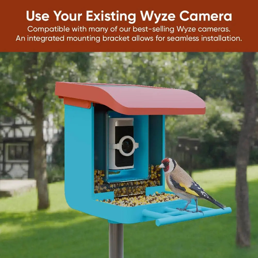 Wyze Bird Feeder with HD Camera: Live Video Monitoring and Recording of Avian Visitors