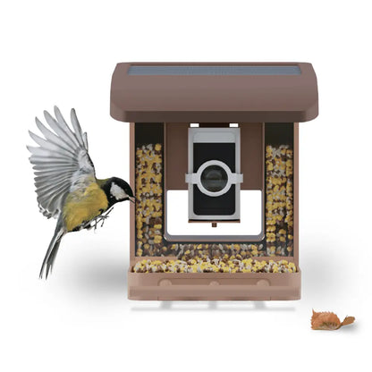 Wyze Bird Feeder with HD Camera: Live Video Monitoring and Recording of Avian Visitors