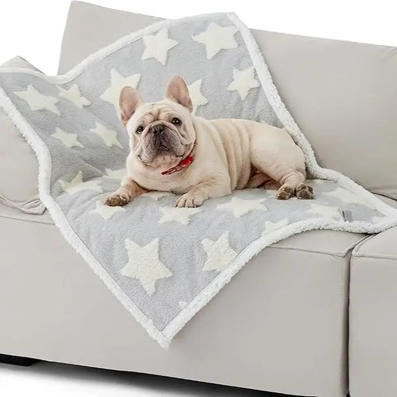 Lesure Waterproof Pet Blanket for Dogs and Cats - Reversible Jacquard Shag and Sherpa Fleece, 3D Textured Cloud Design, Machine Washable, Durable, Portable, and Soft Couch Protector