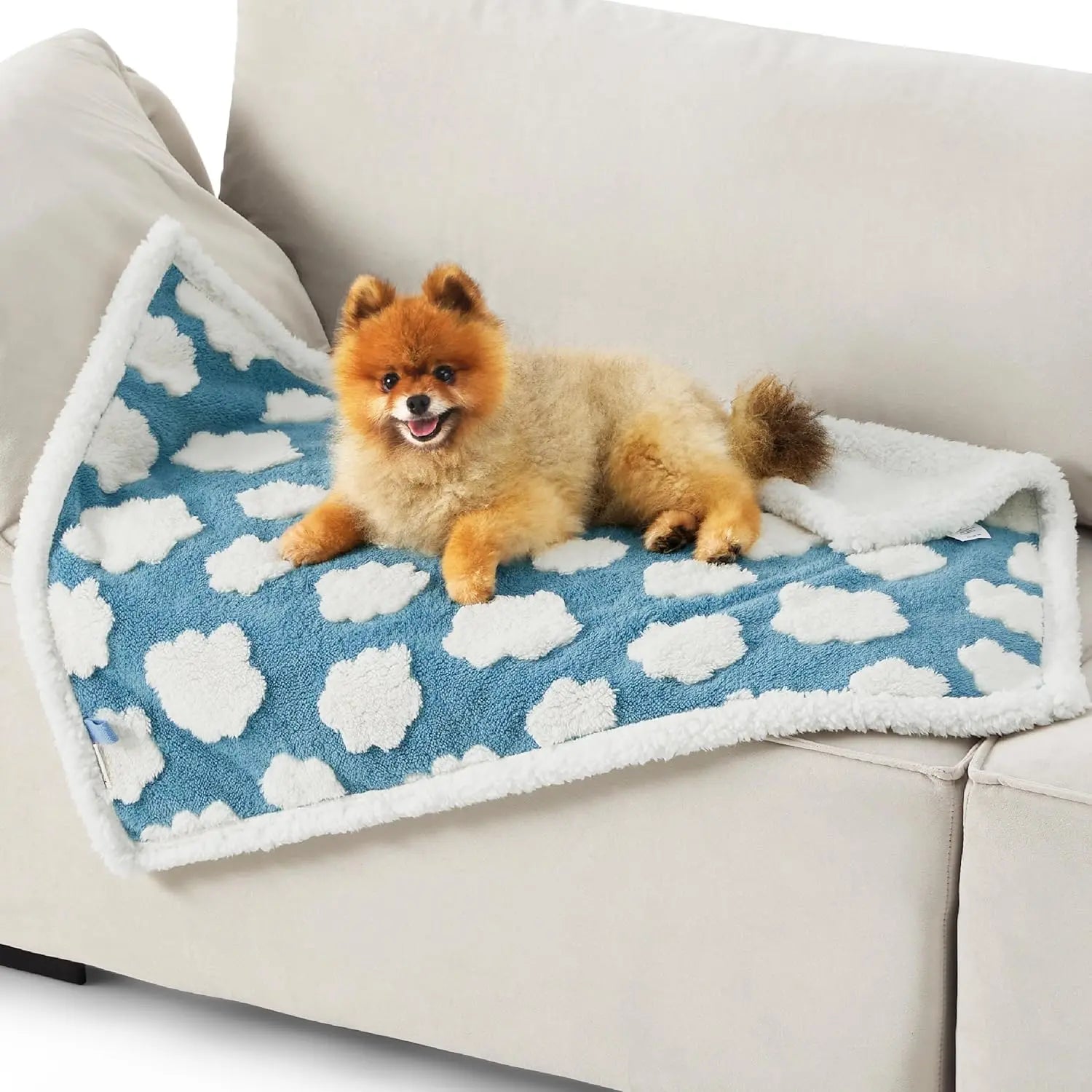 Lesure Waterproof Pet Blanket for Dogs and Cats - Reversible Jacquard Shag and Sherpa Fleece, 3D Textured Cloud Design, Machine Washable, Durable, Portable, and Soft Couch Protector