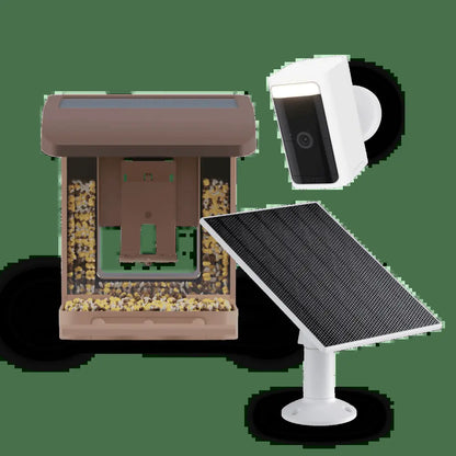 Wyze Bird Feeder with HD Camera: Live Video Monitoring and Recording of Avian Visitors