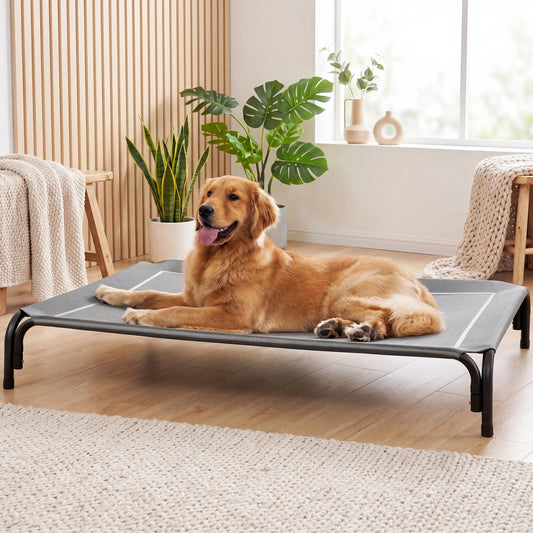 【Dealsforyoudays】 VALUXE Elevated Dog Bed for Large Dogs, Cooling Pet Cot with Breathable Mesh & Durable Frame, Easy to Clean Raised Pet Mats for Indoor & Outdoor Home Summervibes Petlovers Outdoorfun Summerwins