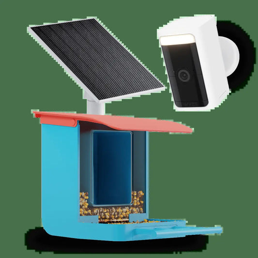 Wyze Bird Feeder with HD Camera: Live Video Monitoring and Recording of Avian Visitors