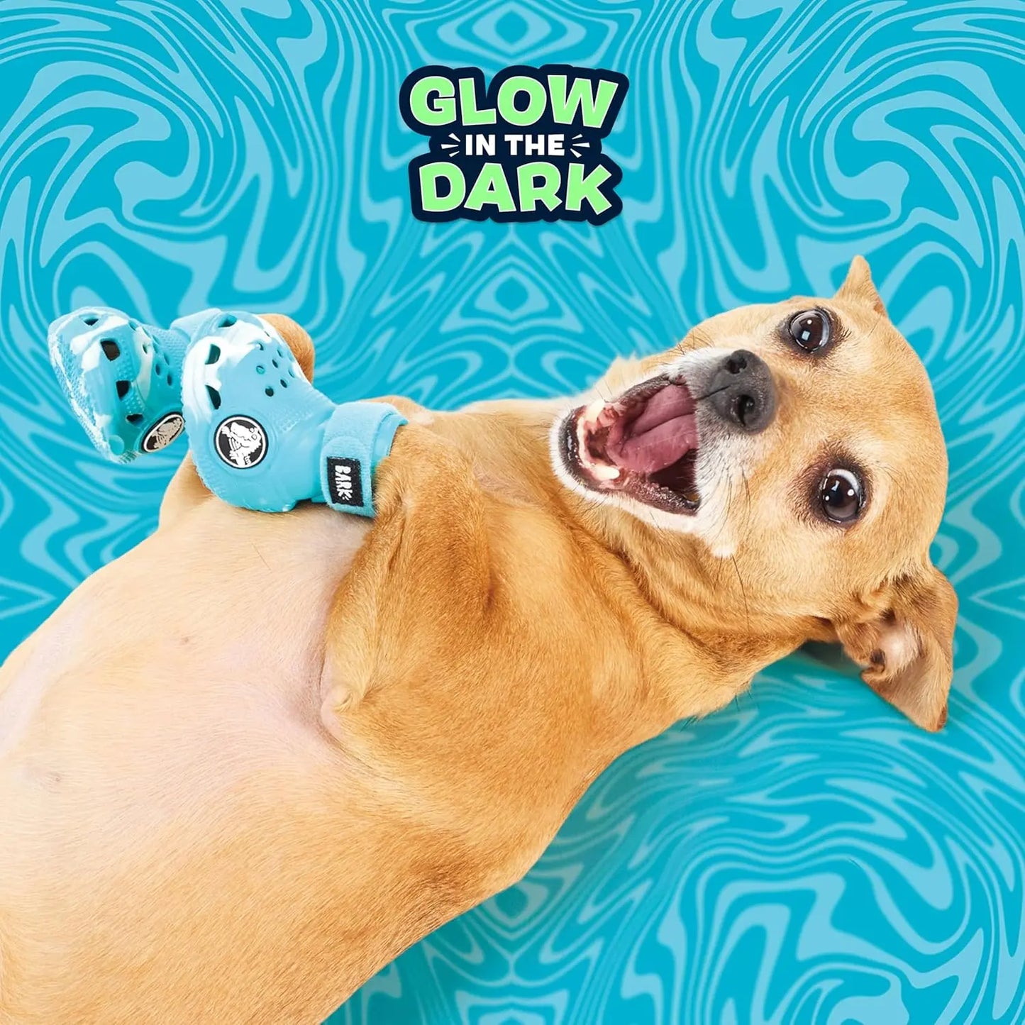 Barkbox Dog Shoes - Set of 4 | EVA Foam, Adjustable Strap, Breathable, Glow-in-the-Dark