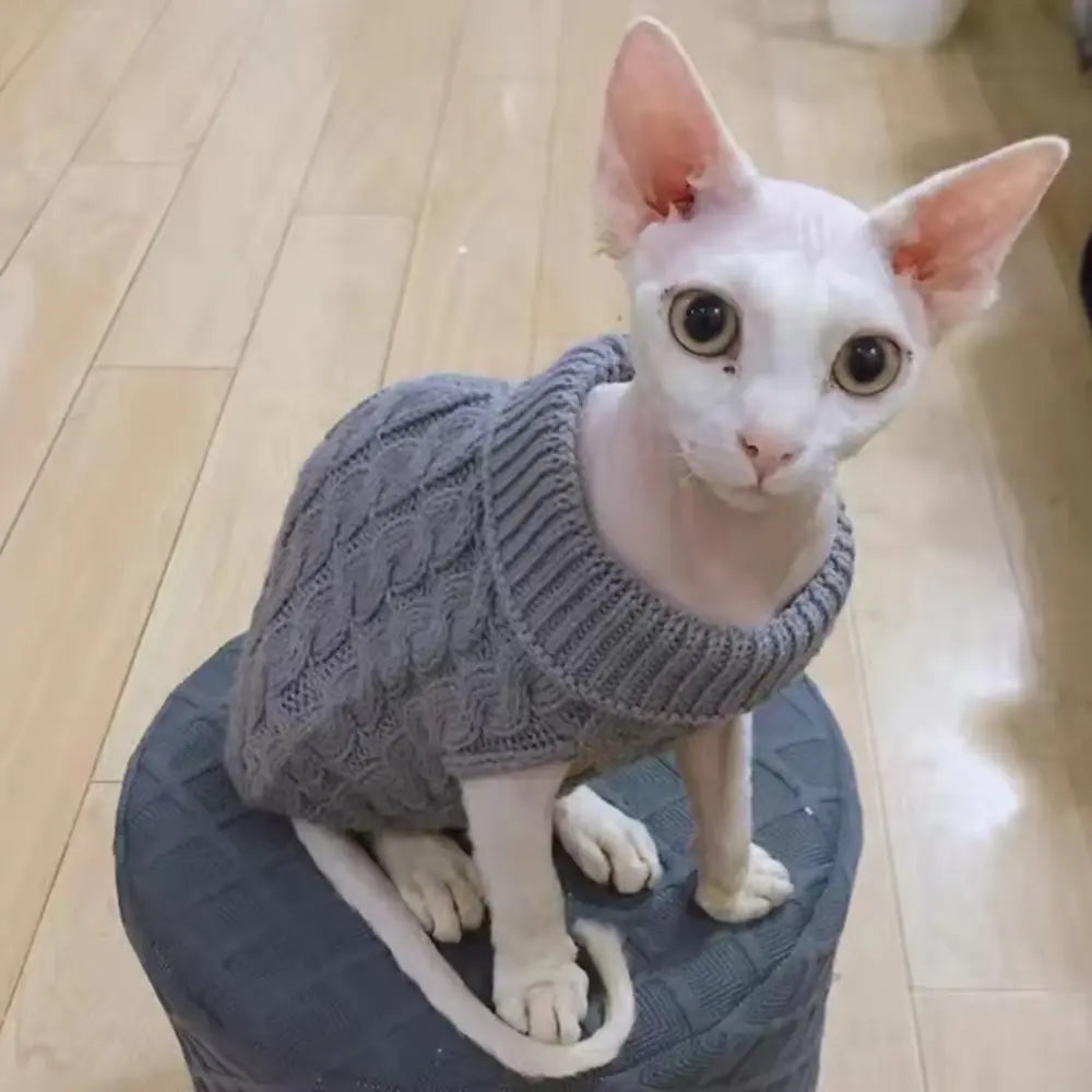 5-Piece Cozy Knitted Sweater Set for Small Pets with 4 Socks - Soft Pullover for Cats and Dogs, Ideal for Winter and Autumn, Available in 5 Colors, Machine Washable