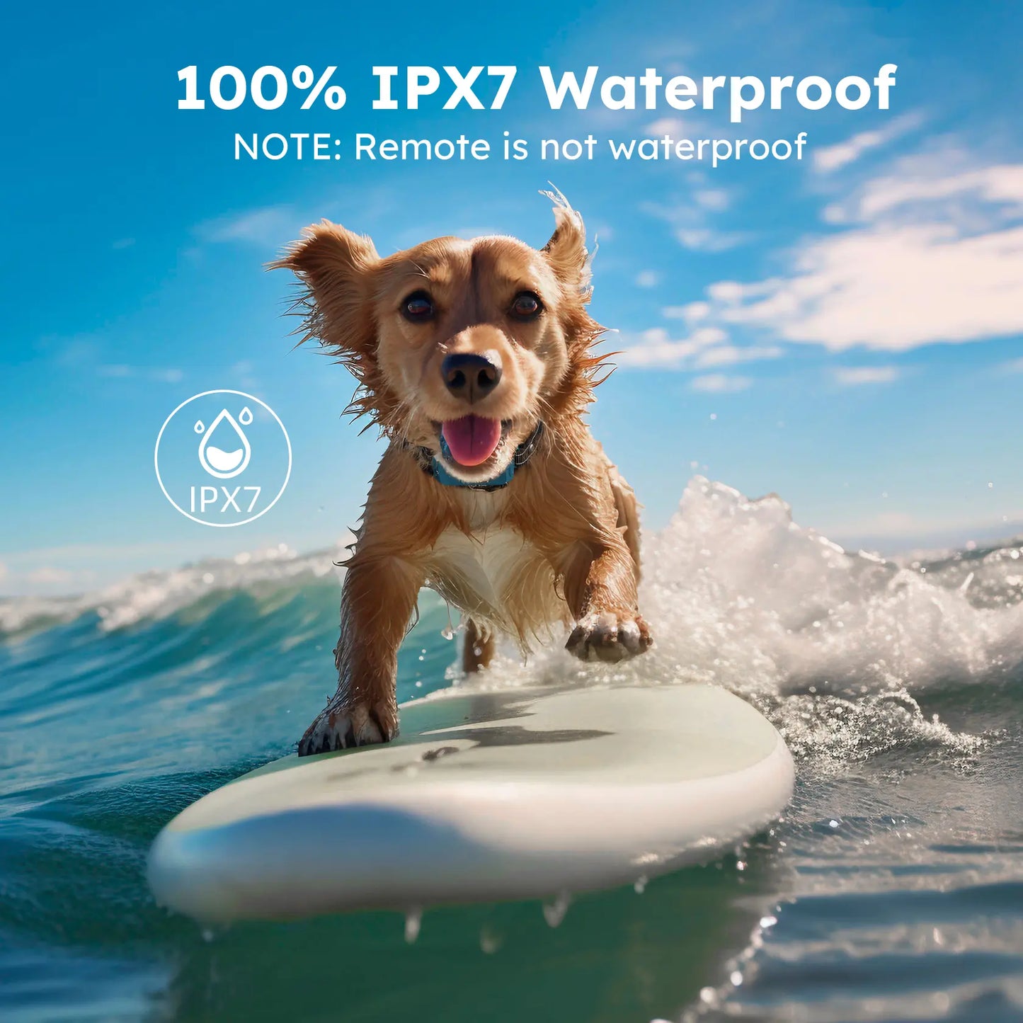 Jugbow Remote Dog Collar - 4200FT Range, IPX8 Waterproof E-Collar with 4 Training Modes, Rechargeable for Outdoor Use - Model DT68