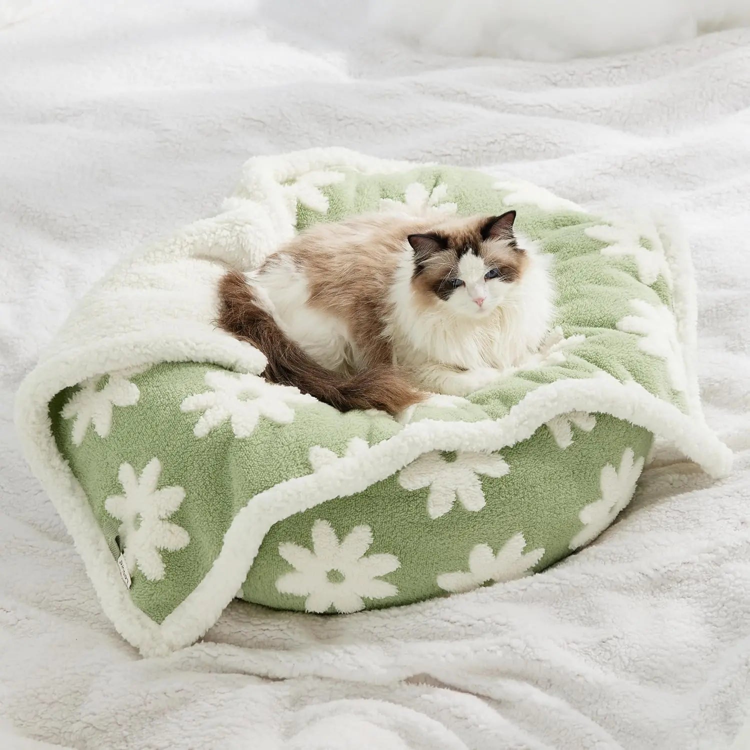 Lesure Waterproof Pet Blanket for Dogs and Cats - Reversible Jacquard Shag and Sherpa Fleece, 3D Textured Cloud Design, Machine Washable, Durable, Portable, and Soft Couch Protector