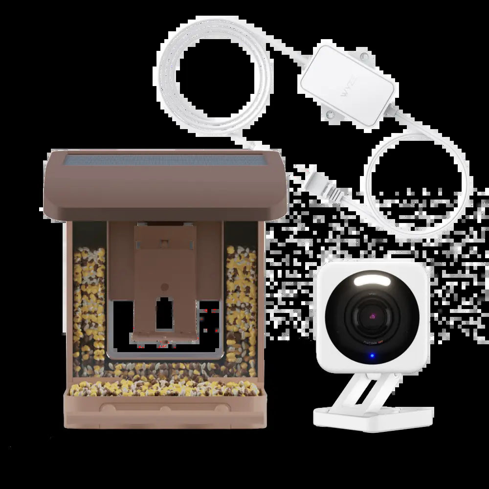 Wyze Bird Feeder with HD Camera: Live Video Monitoring and Recording of Avian Visitors